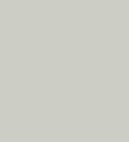 Pebble-1
